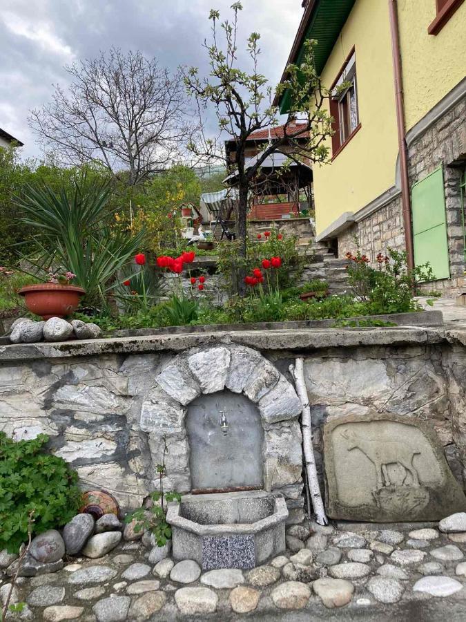 Vila Venera Velingrad Luaran gambar